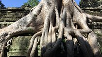 Private Half Day To Jungle Temple-Taprohm & Banteay Kdei Temples
