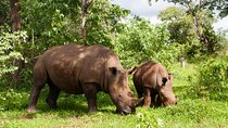 Rhino Walking Safari at Mosi-oa-Tunya National Park