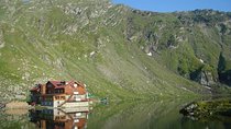 Full Day Tour of Transfagarasan Highway from Brașov