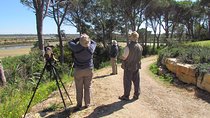 Birdwatching day in the Ria Formosa Natural Park
