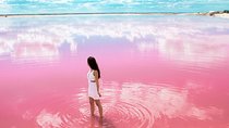 Las Coloradas Natural Pink Lake Tour from Cancun & Riviera Maya