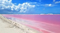 Gorgeous Natural Pink Lake, Las Coloradas Tour! From Cancun & Riviera Maya
