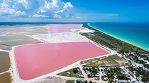 Nature Tour at Las Coloradas and Rio Lagartos Biosphere 