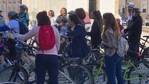 Aveiro Bike Rental - 5/8 hours
