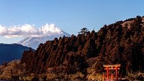Private Hakone Tour - View of Mt. Fuji, Nature and Culture