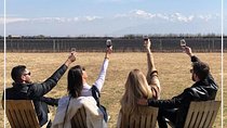 Private Transfer + Lujan de Cuyo Vinicolas / Maipu