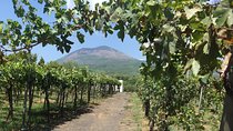 Private Guided Wine Tasting Experience in Vesuvius with Lunch
