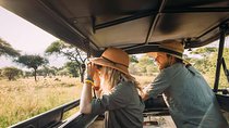 4 Days Tanzania Private safari to Serengeti ,ngorongoro crater and Tarangire 