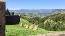 PRIVATE Day Hike on rollings hills near Bran Castle, through mountain villages