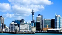Auckland City & Native Forest Experience - Fully Guided Day Tour