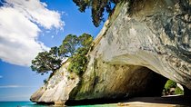 Coromandel Coastal Experience - Small Group Tour from Auckland
