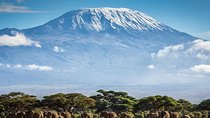 Climb Mount Kilimanjaro: 7 Days Machame Route With Airport Transfers