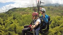 Flying Paragliding Day Trip at Calarca