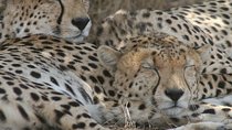 3-Day Maasai Mara Group Joining Safari