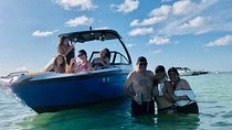Half-Day Miami River Hop-On Hop-Off Boat Tour with Boat Party