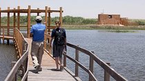 Full-Day Private Tour to Desert Castles and Azraq Wetland Reserve from Amman