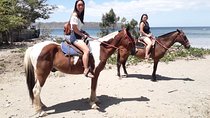 1,5 Hours Private Horseback Riding Tour in Playa Conchal