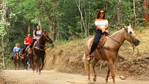 Horseback Riding Tour 