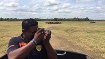 Yala National Park Full-Day Jeep Safari with Lunch