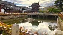 2 Hours Private Guided Walking Tour in Osaka