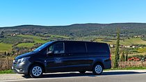 PRIVATE TRANSFER: from Florence to Pisa Airport or Pisa City