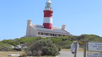 Visit Cape Agulhas Where The Two Oceans Meet F/D From Cape Town