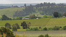 Yarra Valley Wine Tasting Day Tour from Melbourne