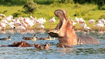 2-Day Guided Safari Tour of Hell's Gate Park and Lake Naivasha