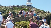 Shared Tour to Cape of Good Hope Penguins Chapman's Peak From Cape Town Full Day