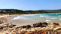4 Days Private Guided Tour in Garden Route