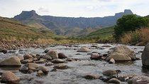 Drakensberg World Heritage Private Tour