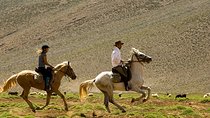  Atlas Mountains Horseback Ride Day Tour From Marrakech 