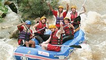 Full-Day Rafting and ATV Tour to Ton Pariwat from Krabi
