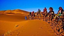 2Days Share Tour From Fes To Marrakech Via Sahara Desert Morocco