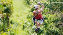 Zipline Canopy Tour & Tortuguero Canal Boat tour. Shore Excursion from Limon