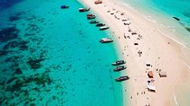 Zanzibar Full Day Safari Blue Tour; Kwale Island & Sandbank Picnic.