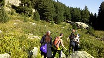 Private Trekking in Rila Mountains and Mt Mousala from Sofia