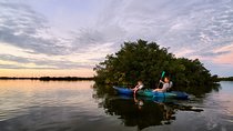 Thousand Islands Mangrove Tunnel Sunset Kayak Tour with Cocoa Kayaking!
