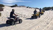 Private Cape Towns West Coastal Tour with Quad Bike