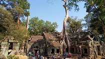 Half Day Private Tour: Tomb Raider & Banteay Kdei Temple