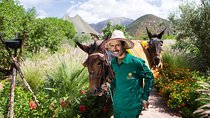 Marrakech: Berber Culture Experience & Atlas Mountains Tour
