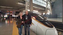 Beijing Private Full-Day Tour from Datong by Bullet Train