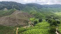 4-Day Cameron Highland and Penang Tour from Kuala Lumpur 