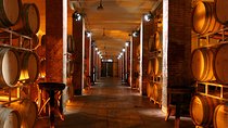 Cellar Wine Tour