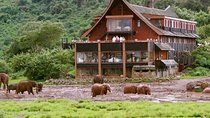 2-Day Aberdares National Park Private Safari