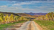 Full-Day Tokaj UNESCO World Heritage Site Private Wine Tour