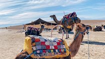 Marrakech: Full-Day Trip Atlas Mountains & Berber Villages Tour 