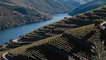 Private Douro Valley Tour Includes Wine Tasting and Boat Tour