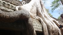 One Private Full Day Guided Tour to Angkor Wat 