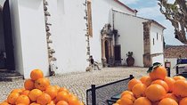 Private Tour of Óbidos | Nazareth | Battle